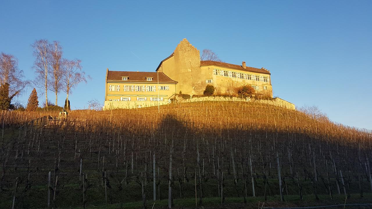 Hotel&Restaurant Schloss Schwandegg Oberstammheim Exterior foto