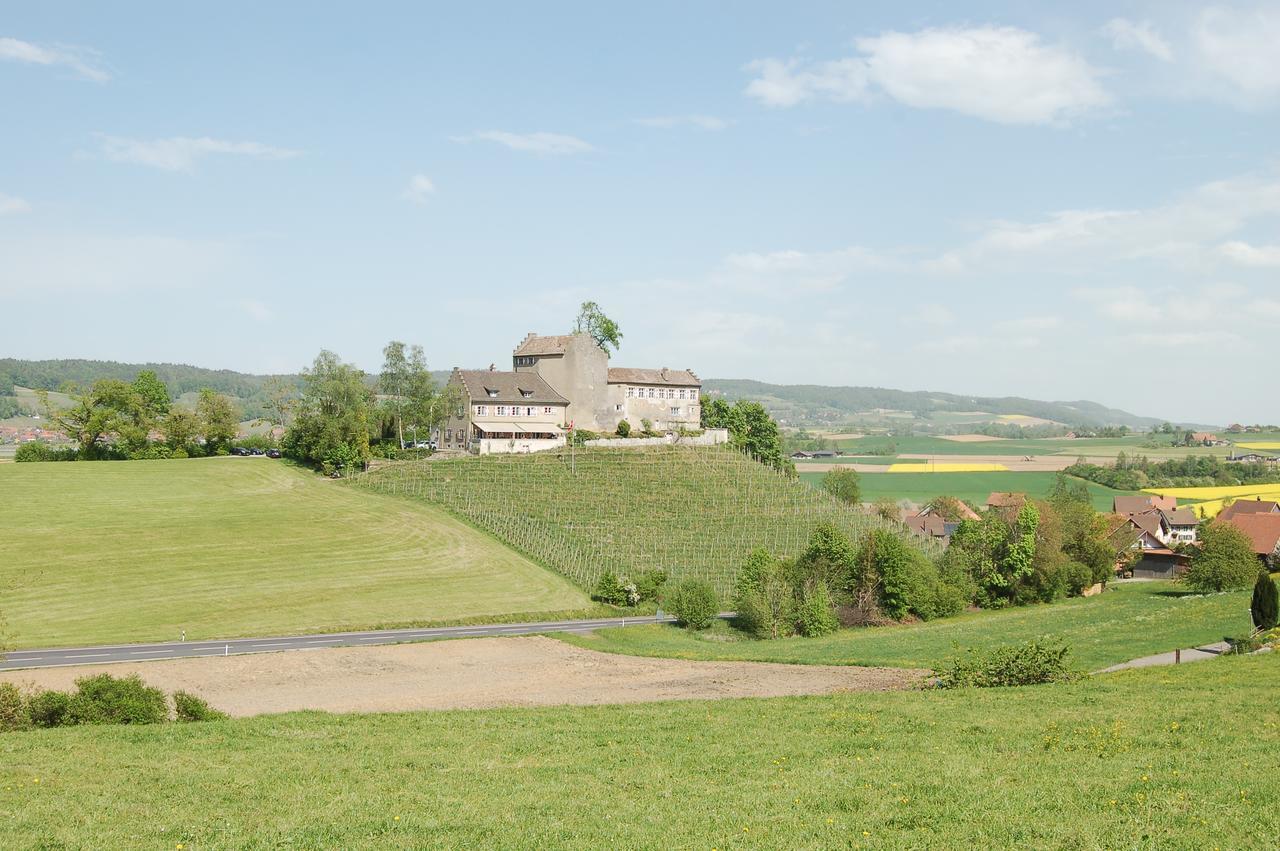 Hotel&Restaurant Schloss Schwandegg Oberstammheim Exterior foto